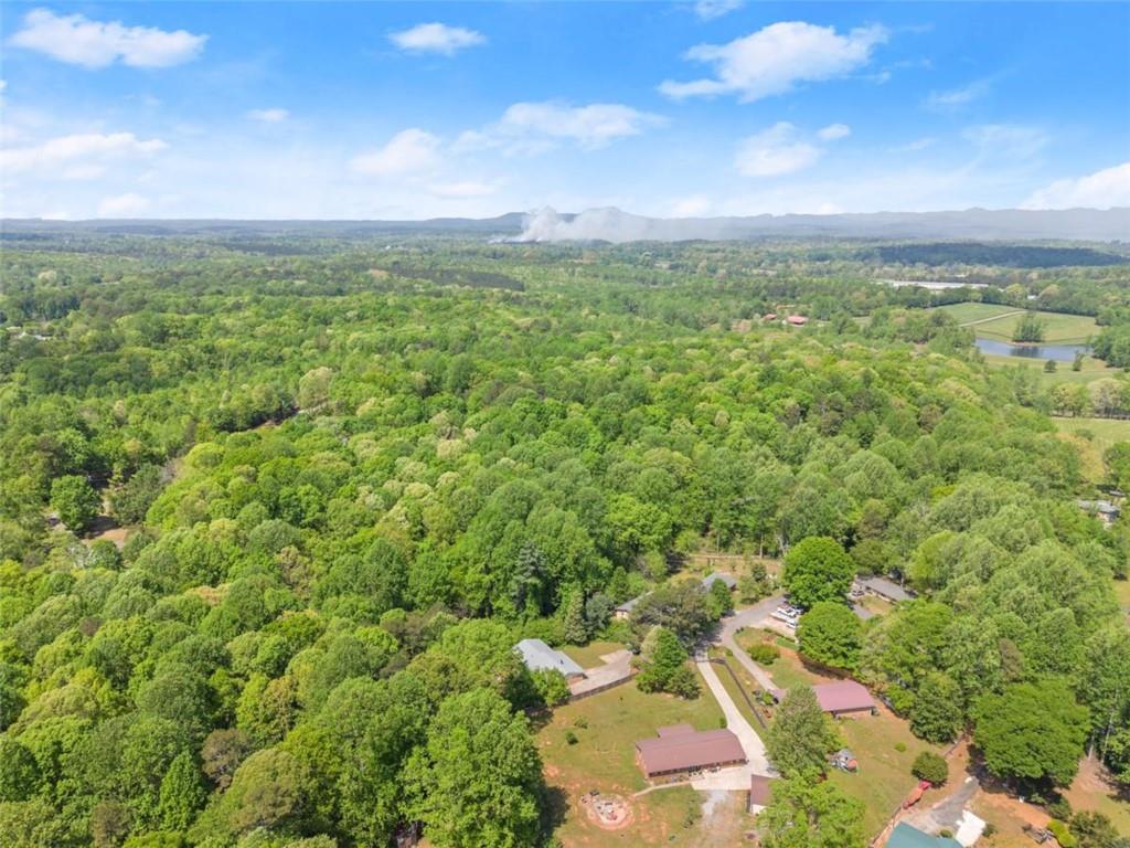 103 Caputi Drive, Alto, Georgia image 42