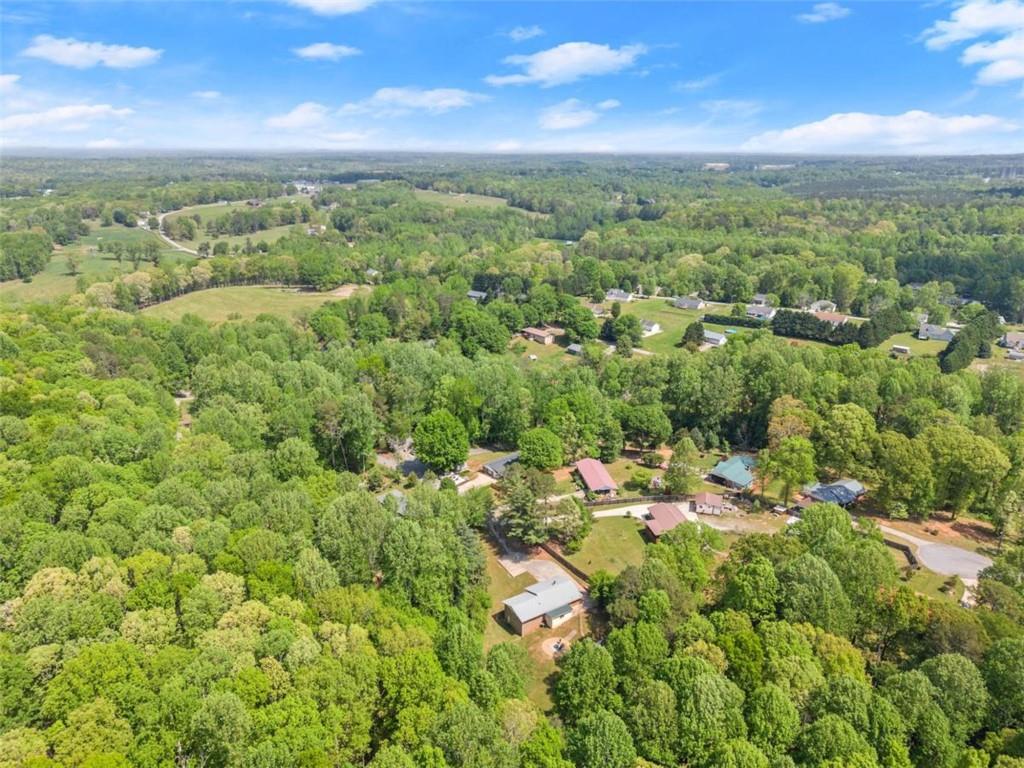 103 Caputi Drive, Alto, Georgia image 43