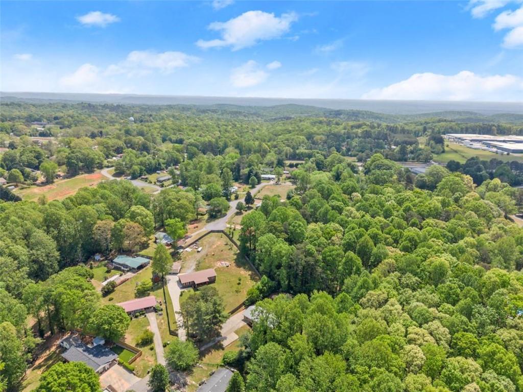 103 Caputi Drive, Alto, Georgia image 40