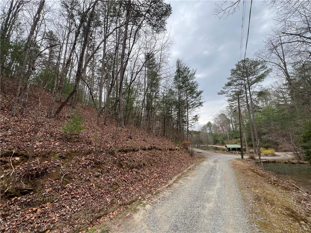 Rustic Way, Ellijay, Georgia image 6