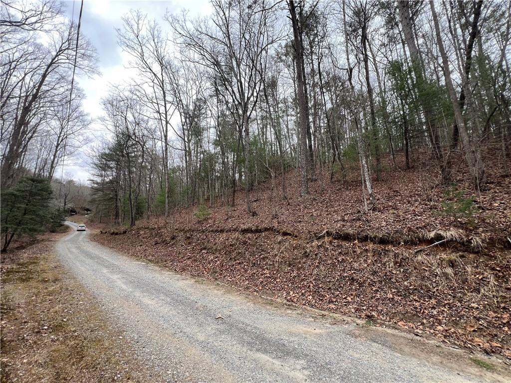 Rustic Way, Ellijay, Georgia image 5