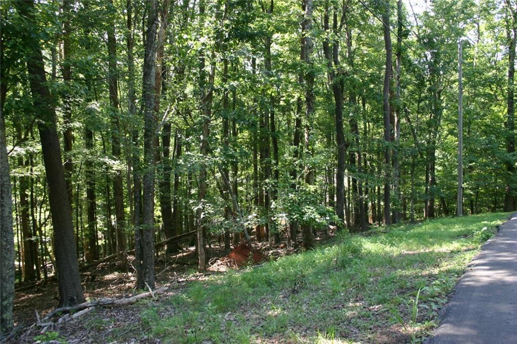 Discover this beautiful .99-acre daylight basement lot with a southeast exposure offering long range winter VIEWS!!! Perfect for building your dream home in a peaceful, private setting. A favorable soil test is on file, helping to insure a smooth building process. Not ready to build yet? There is no time limit to build after purchase so you can secure today's prices and build when the time is right. Bent Tree is a 3500-acre gated mountain community approximately an hour north of Atlanta, offering a wealth of amenities. Challenge yourself to a round of golf on the Joe Lee-designed 18-hole course, dip in one of the two pools, or a match on the indoor/outdoor tennis/pickleball courts. For the water lovers, the pristine 110-acre Lake Tamarack offers excellent boating and fishing opportunities. After a day of recreation, relax and enjoy a delicious meal at the Tavern. Bent Tree has an equestrian center, hiking trails for staying fit and many social events and clubs. Your mountain lifestyle begins here!