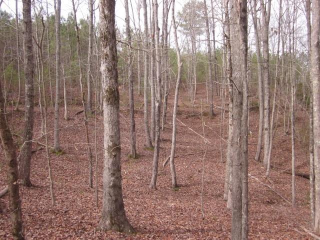 00 Jones Mountain Road, Talking Rock, Georgia image 13