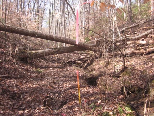 00 Jones Mountain Road, Talking Rock, Georgia image 6