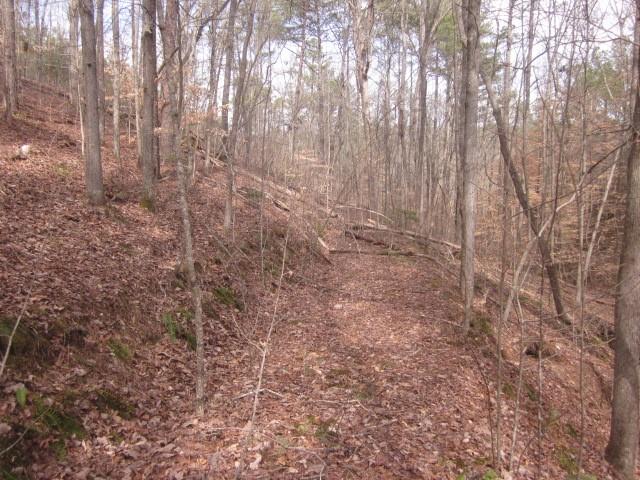 00 Jones Mountain Road, Talking Rock, Georgia image 29