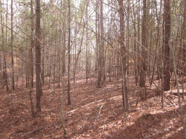 00 Jones Mountain Road, Talking Rock, Georgia image 22