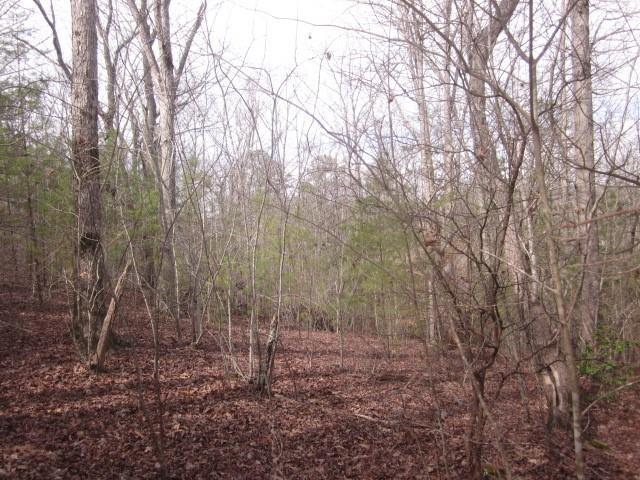 00 Jones Mountain Road, Talking Rock, Georgia image 24