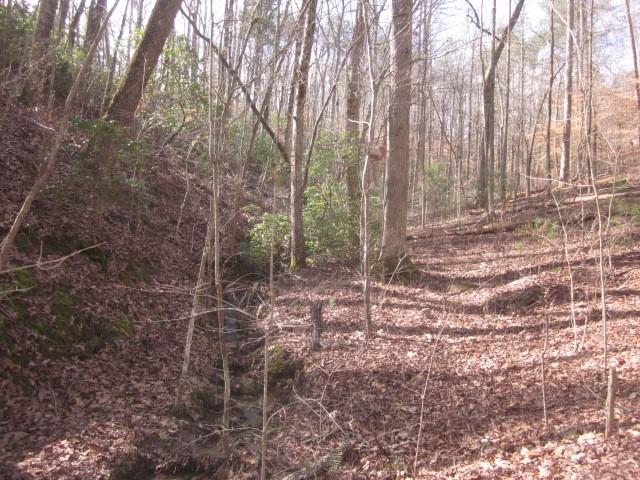 00 Jones Mountain Road, Talking Rock, Georgia image 9