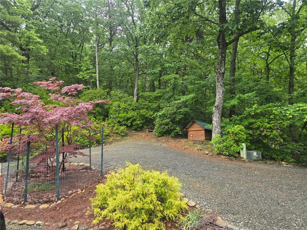 130 Owl Mountain Cove, Ellijay, Georgia image 45
