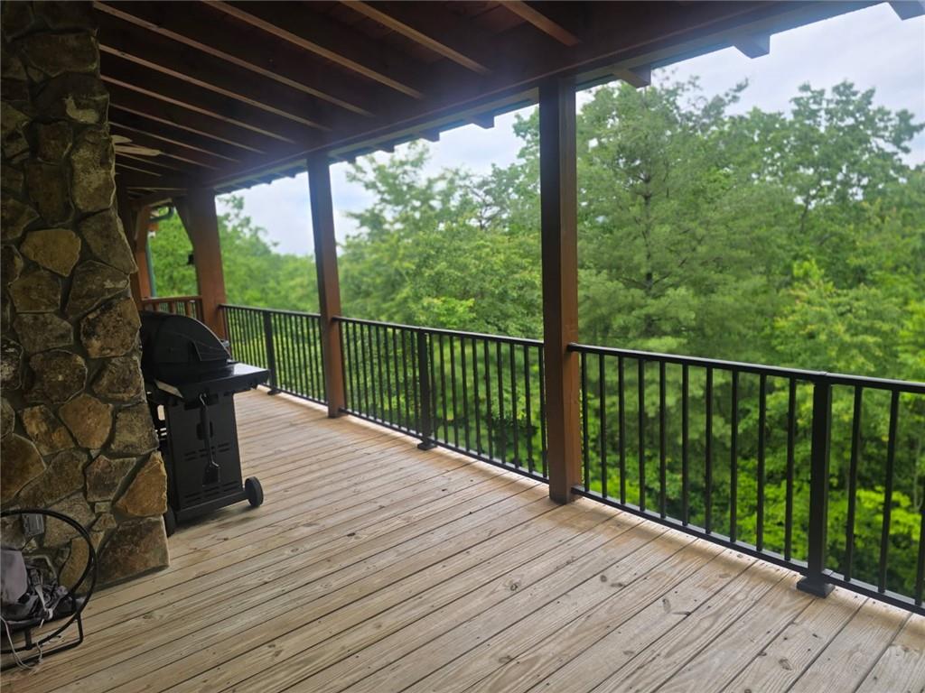 130 Owl Mountain Cove, Ellijay, Georgia image 35