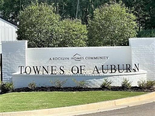 421 Auburn Valley Way, Auburn, Georgia image 20