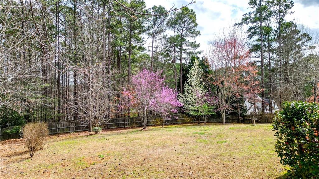 120 Severn Way, Dallas, Georgia image 36