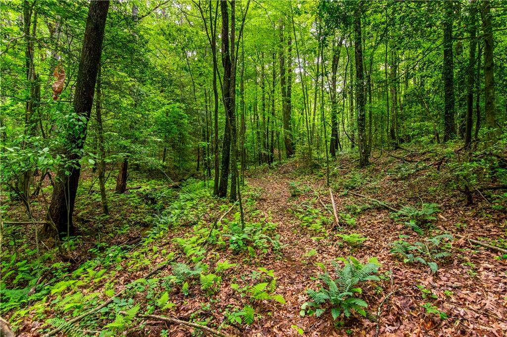 4.06AC Mountain Spirit Way