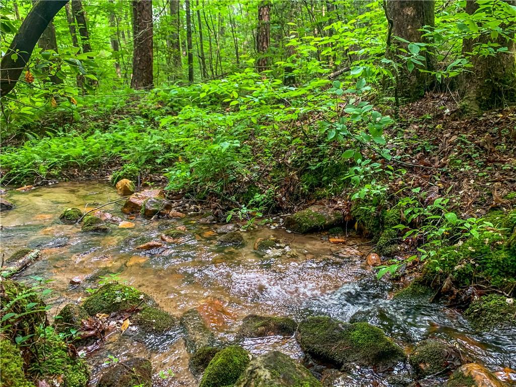 4.06AC Mountain Spirit Way