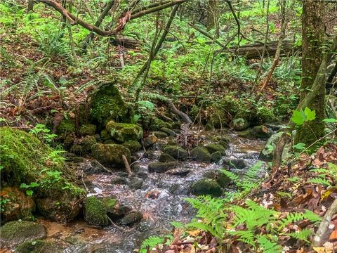 4.06AC Mountain Spirit Way Ellijay GA 30536