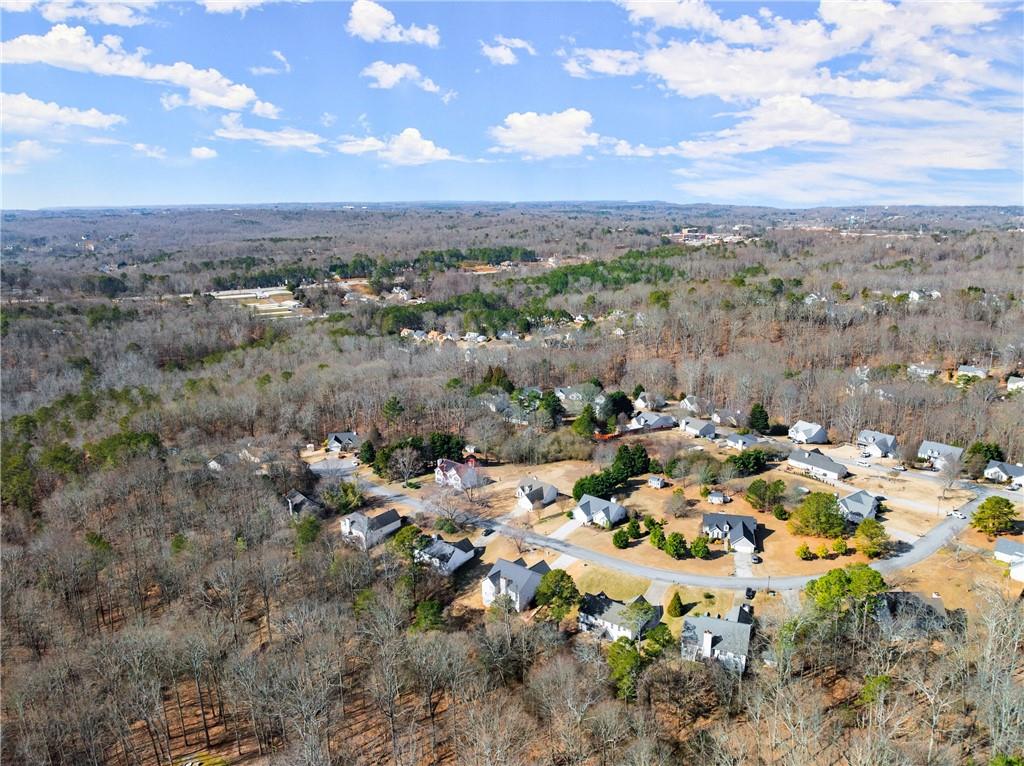 4831 Daintree Court, Flowery Branch, Georgia image 46