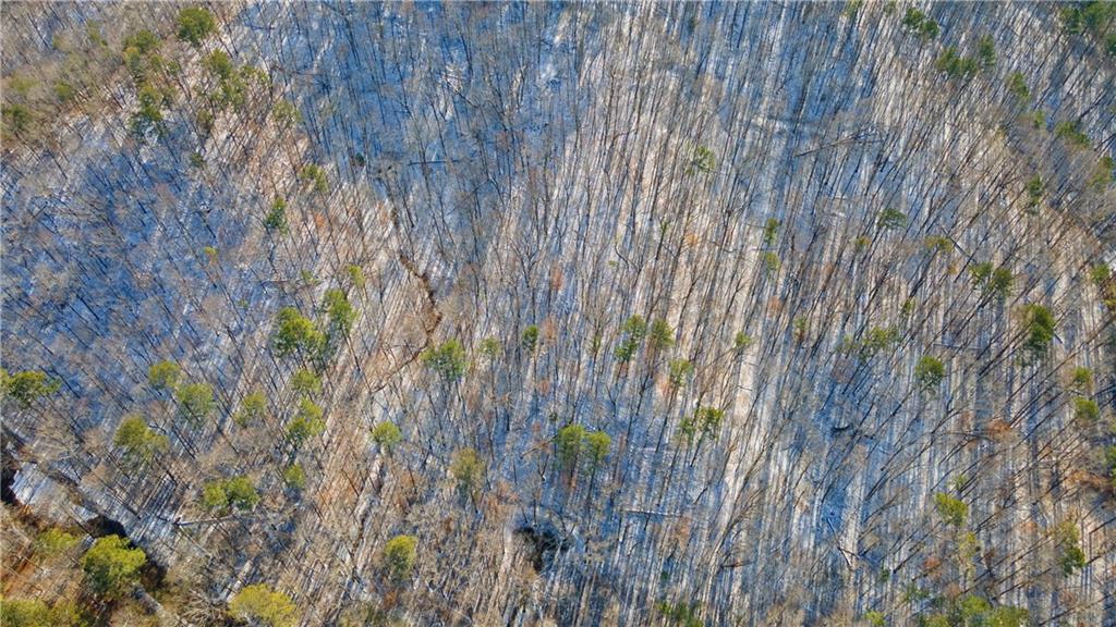 Yukon Road, Talking Rock, Georgia image 11