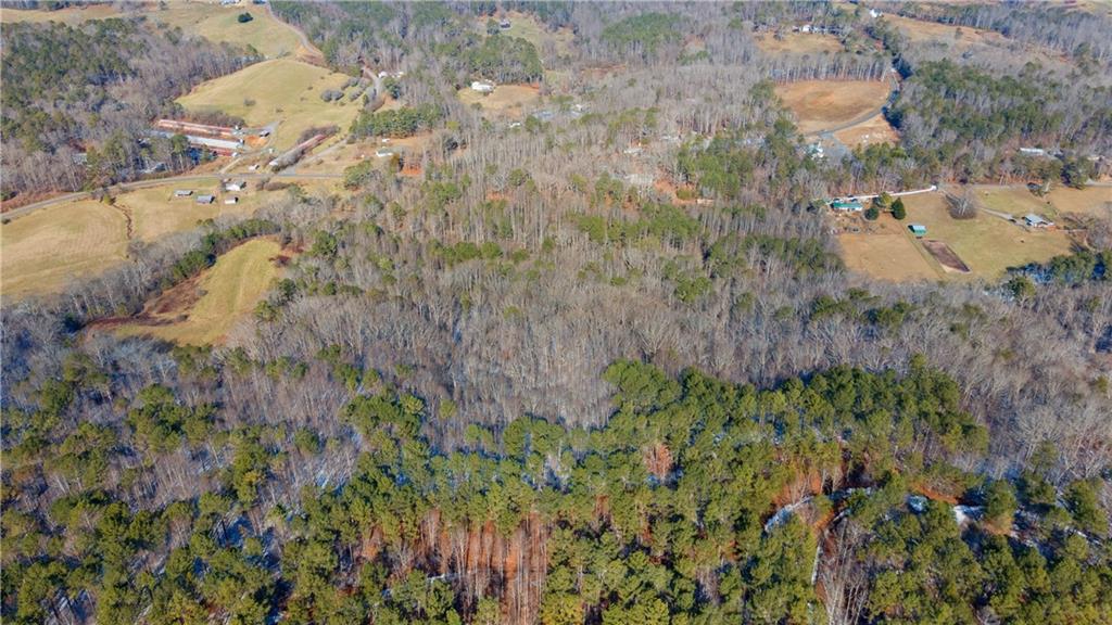 Yukon Road, Talking Rock, Georgia image 14