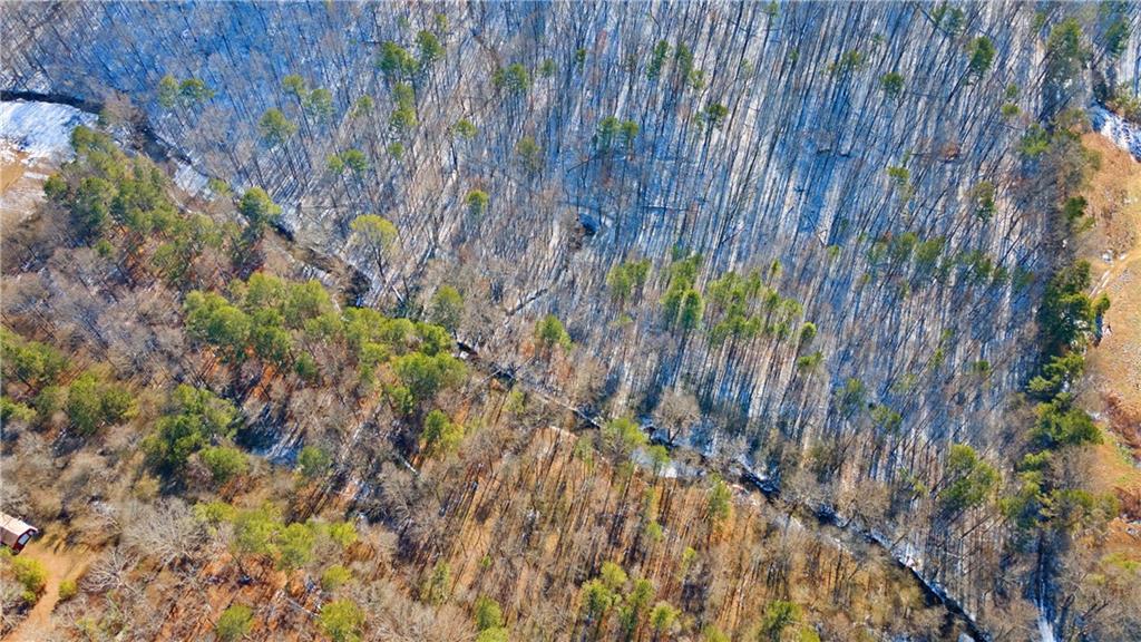 Yukon Road, Talking Rock, Georgia image 10