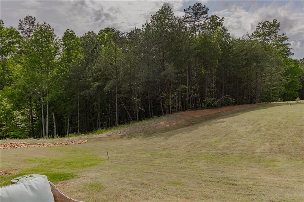 332 Stoneybrook Drive, Dahlonega, Georgia image 47