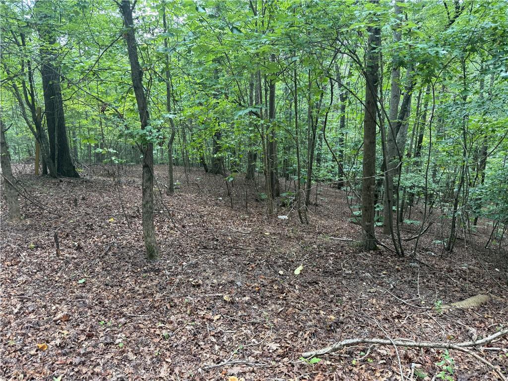 4.28 ACRES in CHEROKEE COUNTY. No HOA. Great home location. BUILD your dream home in CANTON! Looking for the perfect place to build your dream home. This property offers the ideal combination of privacy, convenience, and freedom. Bring your own builder - create a custom home tailored exactly to your vision. Utilities ready - electric and water available at the property. Prime location - Minutes to Downtown Canton, The Mill, shopping, dining, and entertainment. Top rated schools in excellent school district. Whether you are looking to build now or invest for the future, this property is a rare find in one of Cantons most desirable areas. Don't miss this chance to create the home you've always wanted - schedule a visit today.