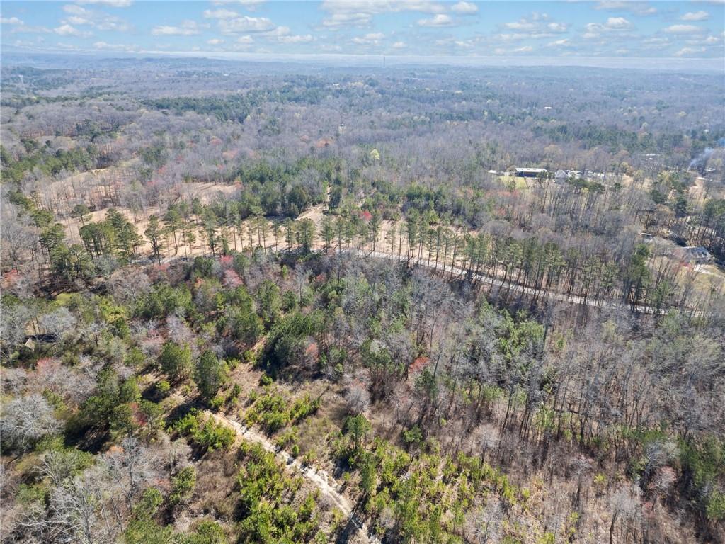 466 Mt. Olive Church Lane Ln, White, Georgia image 11
