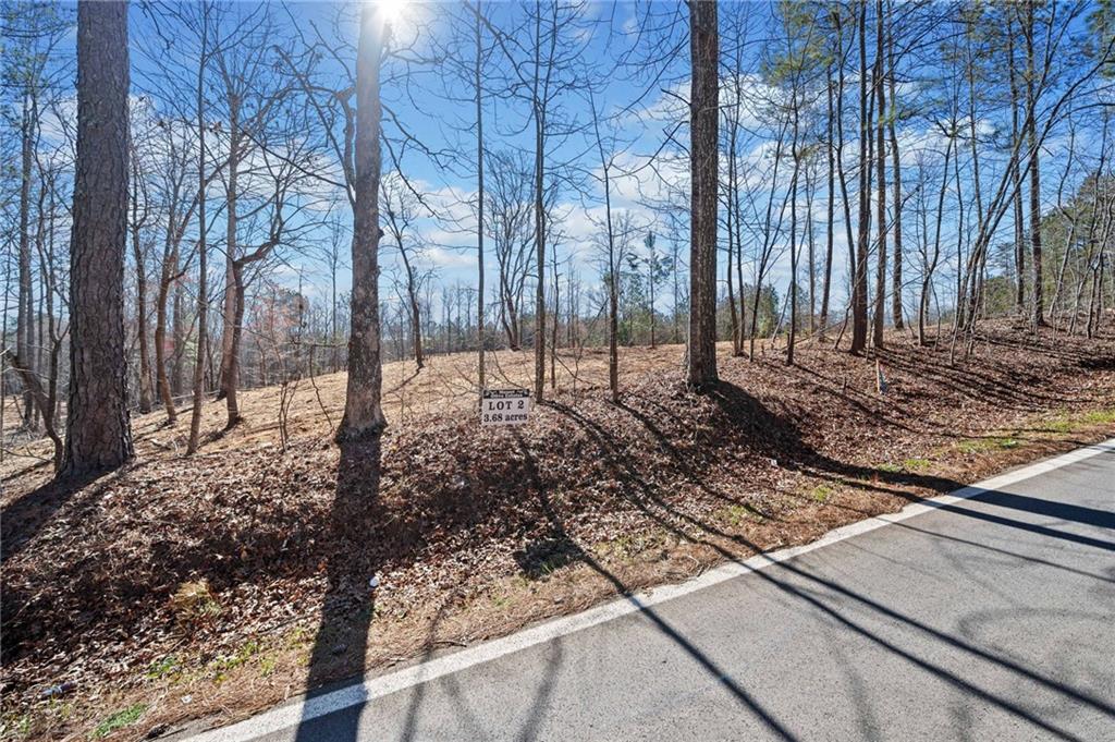 466 Mt. Olive Church Lane Ln, White, Georgia image 2