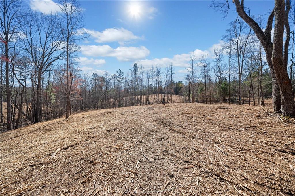 466 Mt. Olive Church Lane Ln, White, Georgia image 3