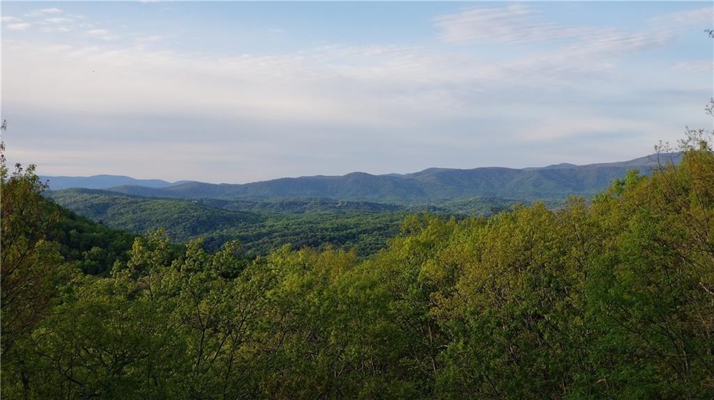 1012 Wild Turkey Bluff, Jasper, Georgia image 4