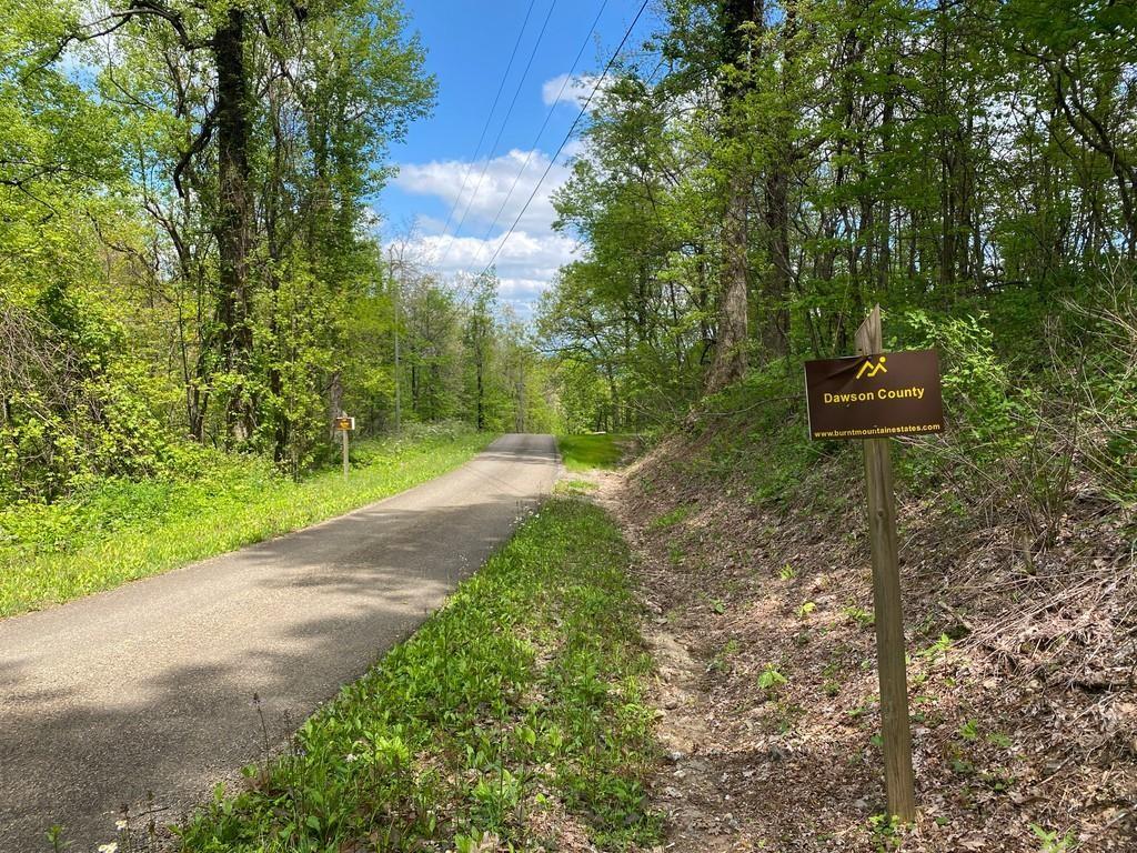 Burnt Mountain Cove Road, Jasper, Georgia image 7