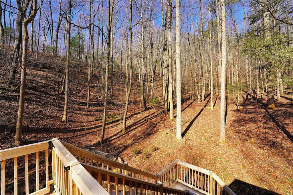 172 Sweetwater Road, Blue Ridge, Georgia image 41