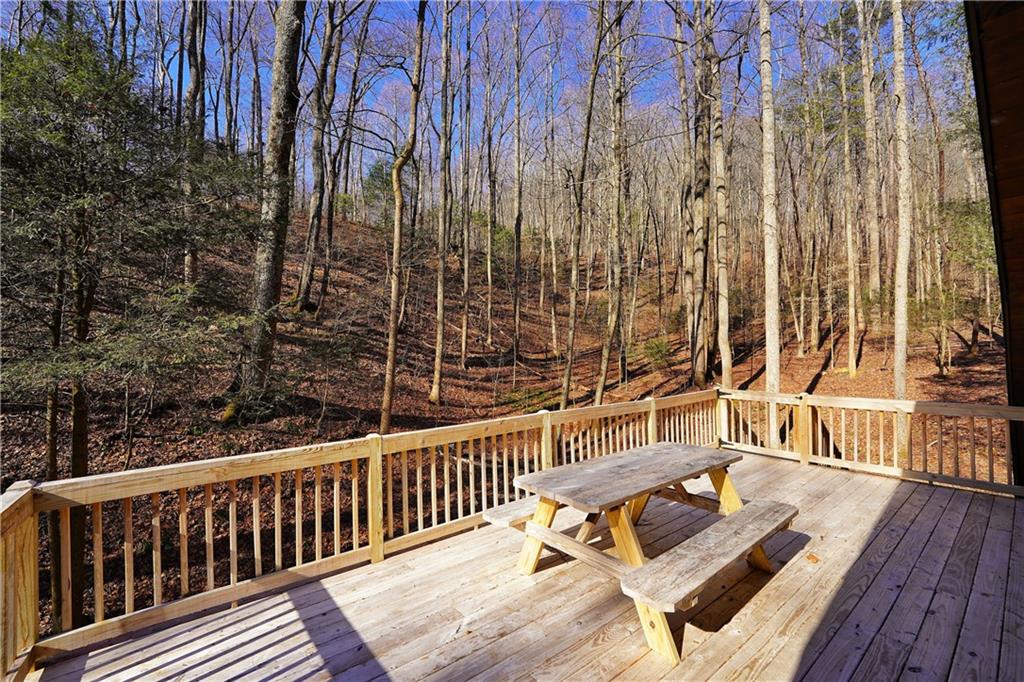 172 Sweetwater Road, Blue Ridge, Georgia image 38