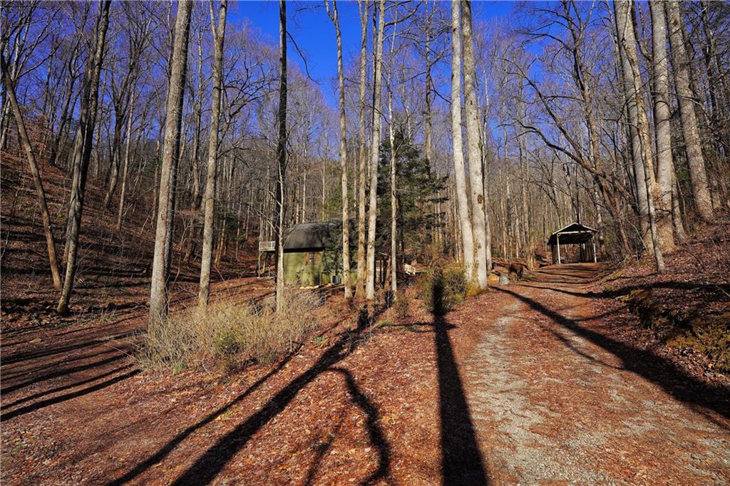 172 Sweetwater Road, Blue Ridge, Georgia image 49