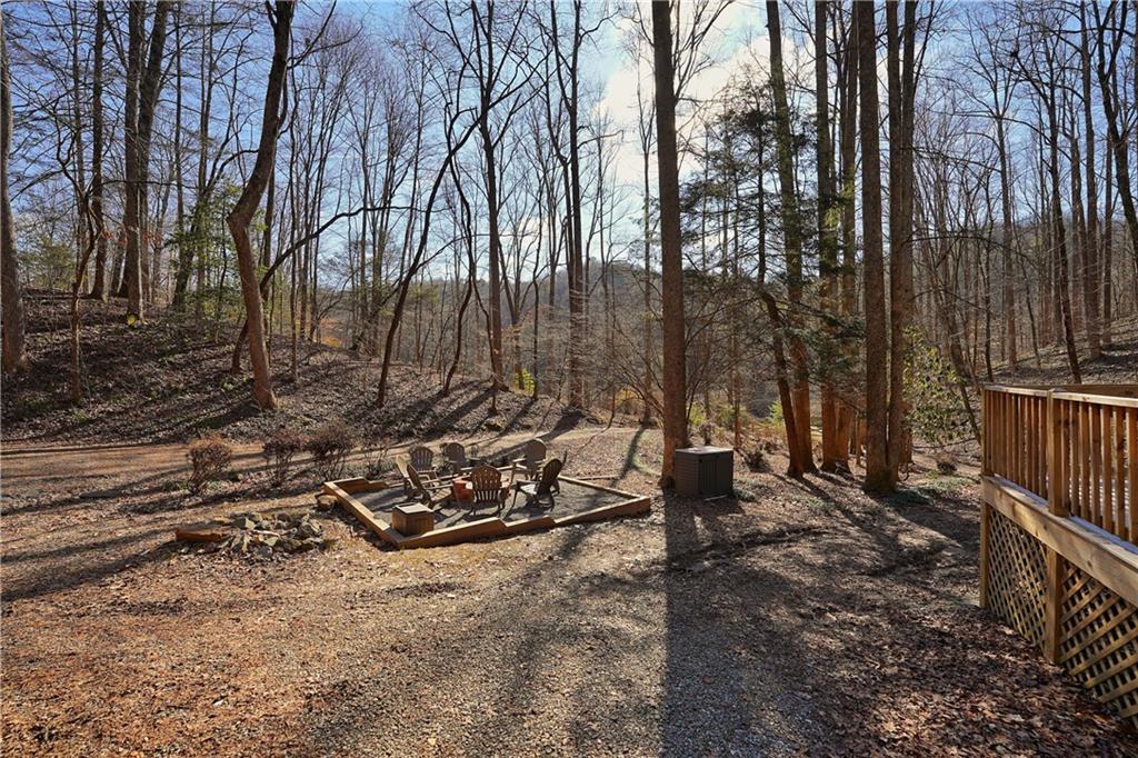 172 Sweetwater Road, Blue Ridge, Georgia image 9