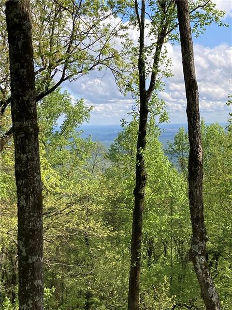 Single Family Residence in Jasper GA 104 Big Stump Mountain Trail.jpg