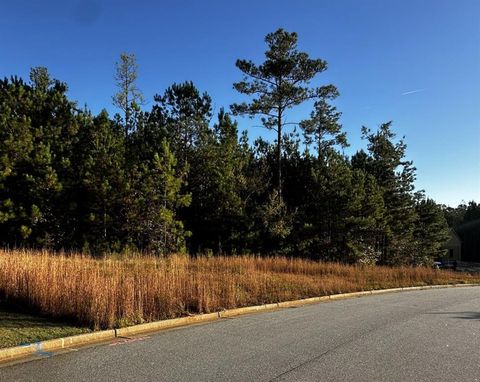 Homes For Sale - LOT 65 Green Terrace<br/> Newnan, GA 30265