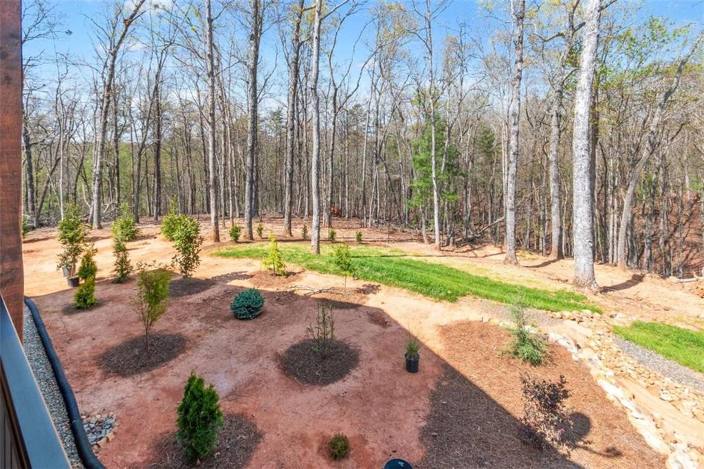 554 Tipton Springs Road Rd, Morganton, Georgia image 33
