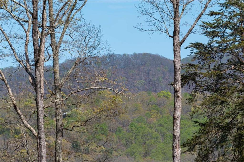 554 Tipton Springs Road Rd, Morganton, Georgia image 4
