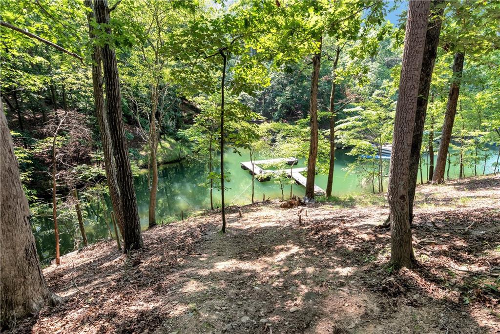 5981 Warpath Road