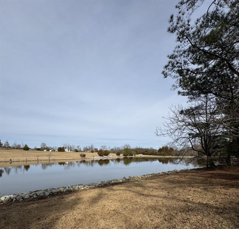 Linda Drive, Loganville, Georgia image 1