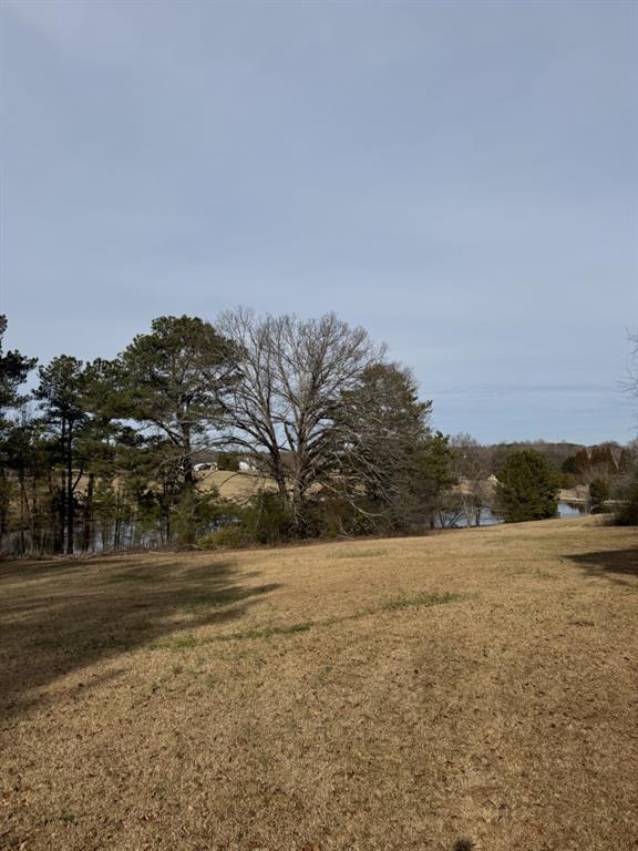 Linda Drive, Loganville, Georgia image 7