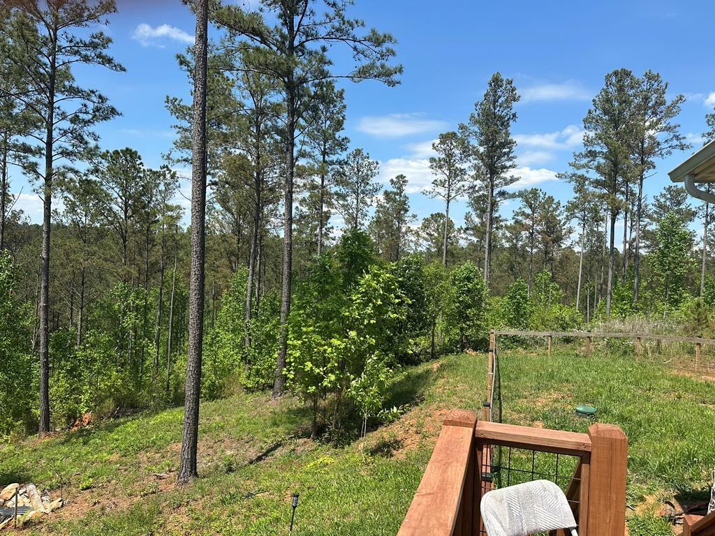 230 High River Landing, Ellijay, Georgia image 12