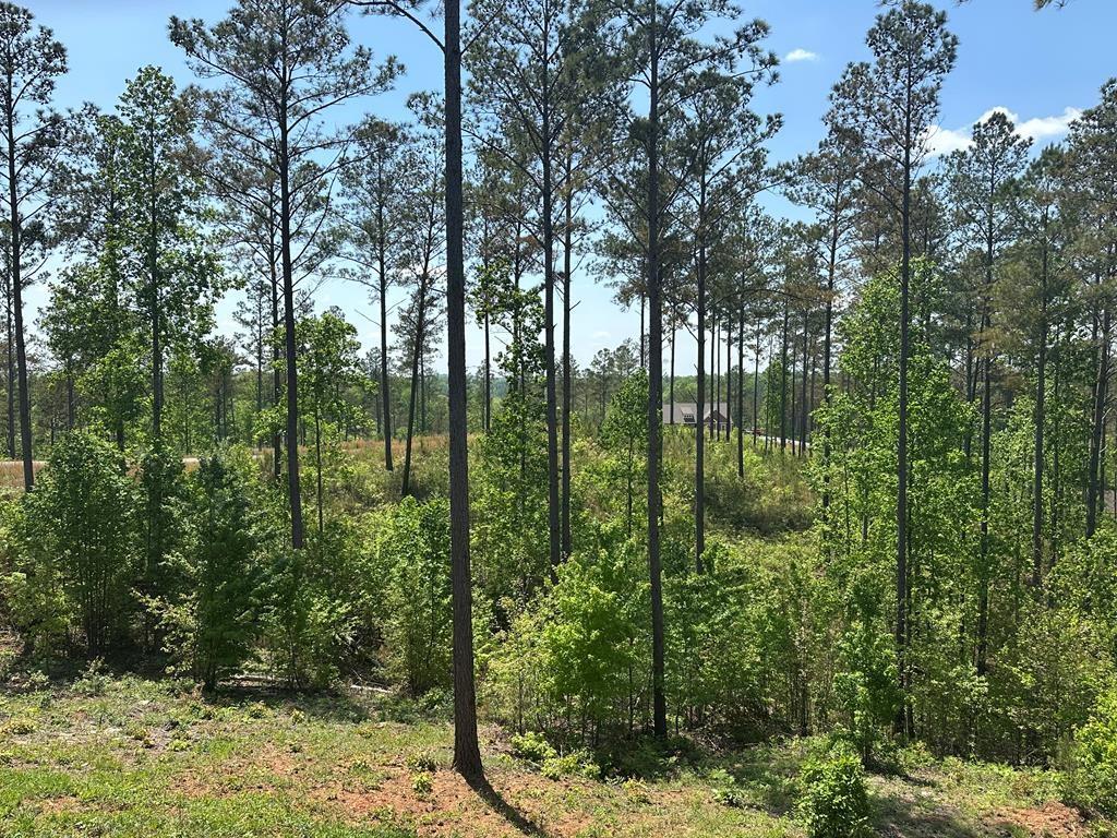 230 High River Landing, Ellijay, Georgia image 11