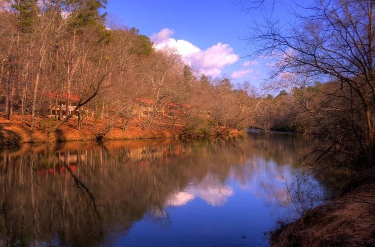 Olaf Court, Ellijay, Georgia image 37