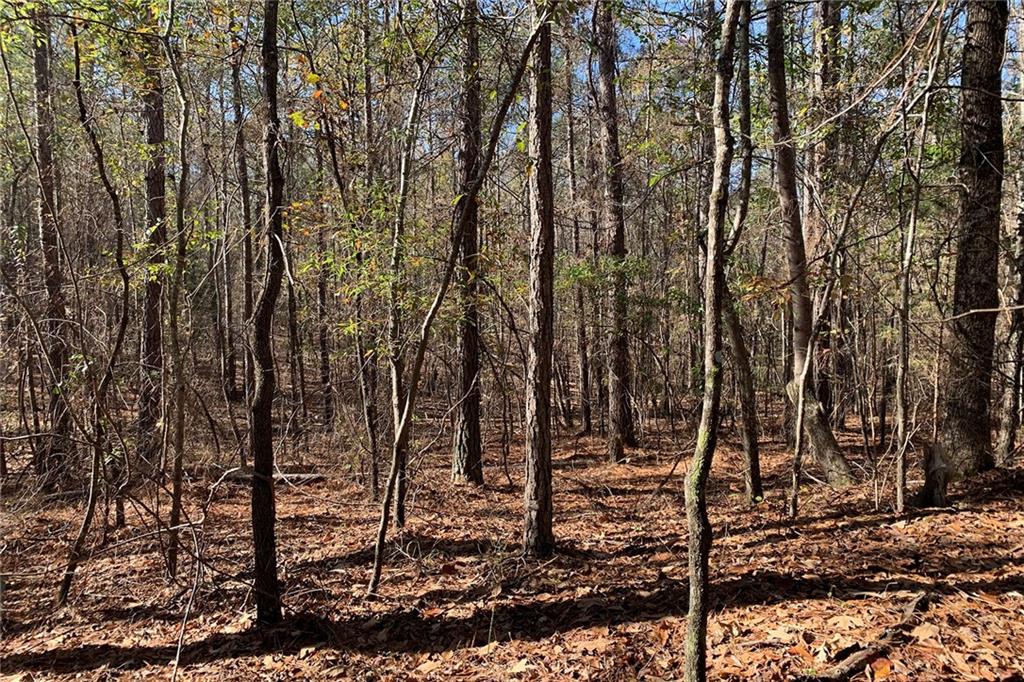 0 Campbellton Redwine Road