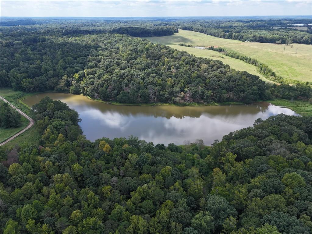 Sanford Lake Drive, Nicholson, Georgia image 9