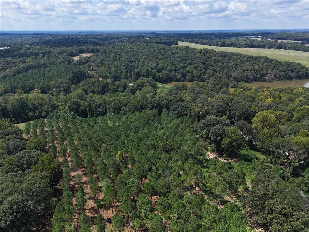 Sanford Lake Drive, Nicholson, Georgia image 3