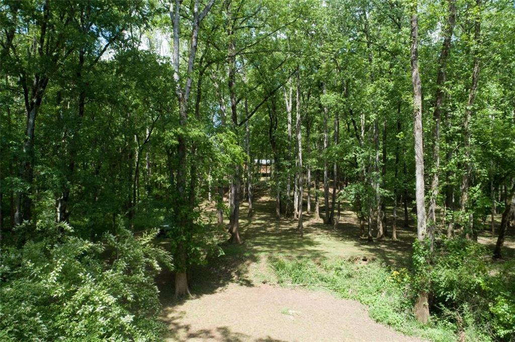 2059 River Road, Elberton, Georgia image 20