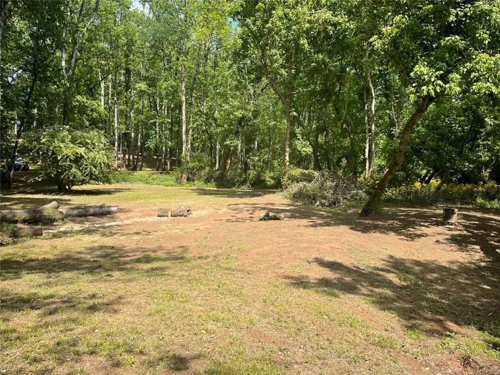 2059 River Road, Elberton, Georgia image 10