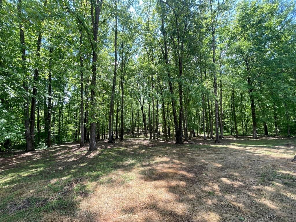2059 River Road, Elberton, Georgia image 37